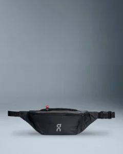 Magnet