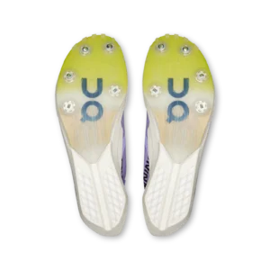 Cloudspike Amplius 2