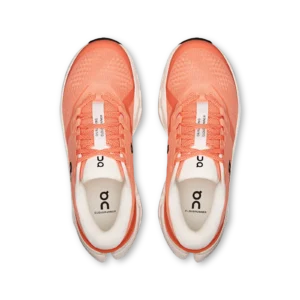 Cloudrunner 3
